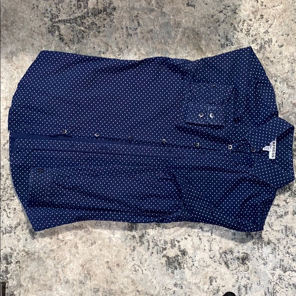 Blue Grey Polka Dots - Express Button Down - Picture 1 of 3